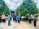 กิจกรรมการทำใบทุเรียน ใบที่ 2 ภายใต้โครงการพัฒนาการบริหารจัดการของศูนย์บริการและถ่ายทอดเทคโนโลยีทางการเกษตรฯ